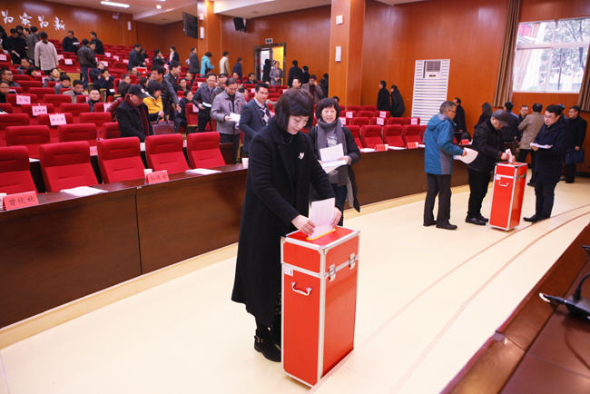 1520497035394030360.jpg 2.jpg